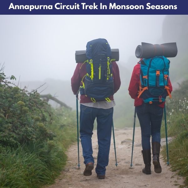 Best Time for Annapurna Circuit Trek 5 Annapurna Circuit Trek In Monsoon