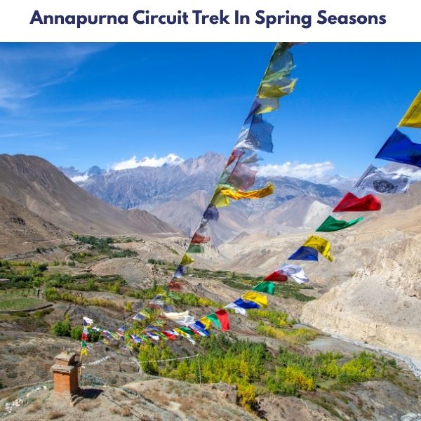 Best Time for Annapurna Circuit Trek 2 Annapurna Circuit Trek In Spring