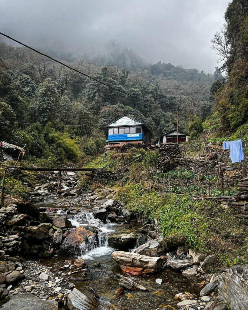 Nepali Tea House