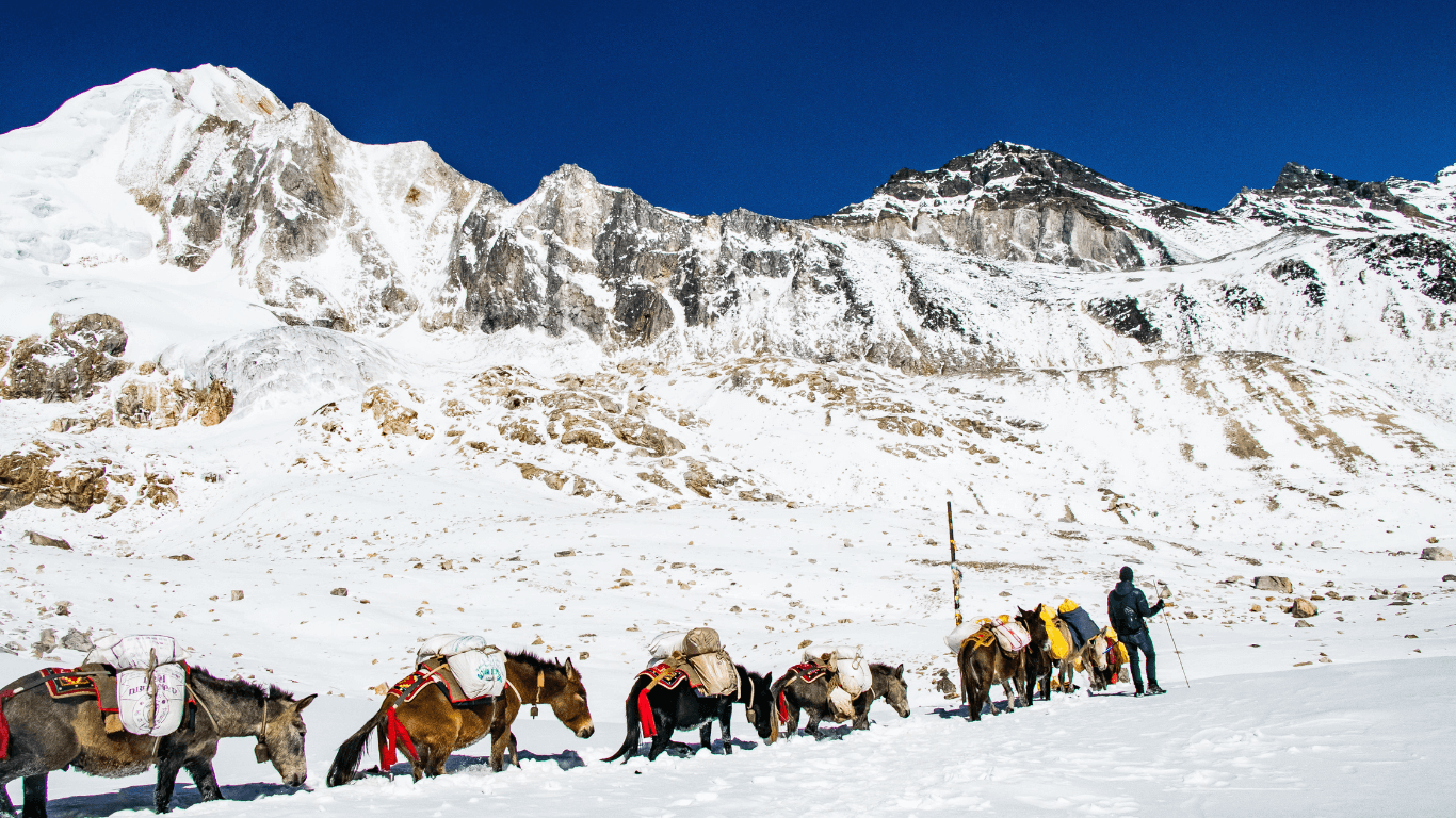 manaslu tsum valley