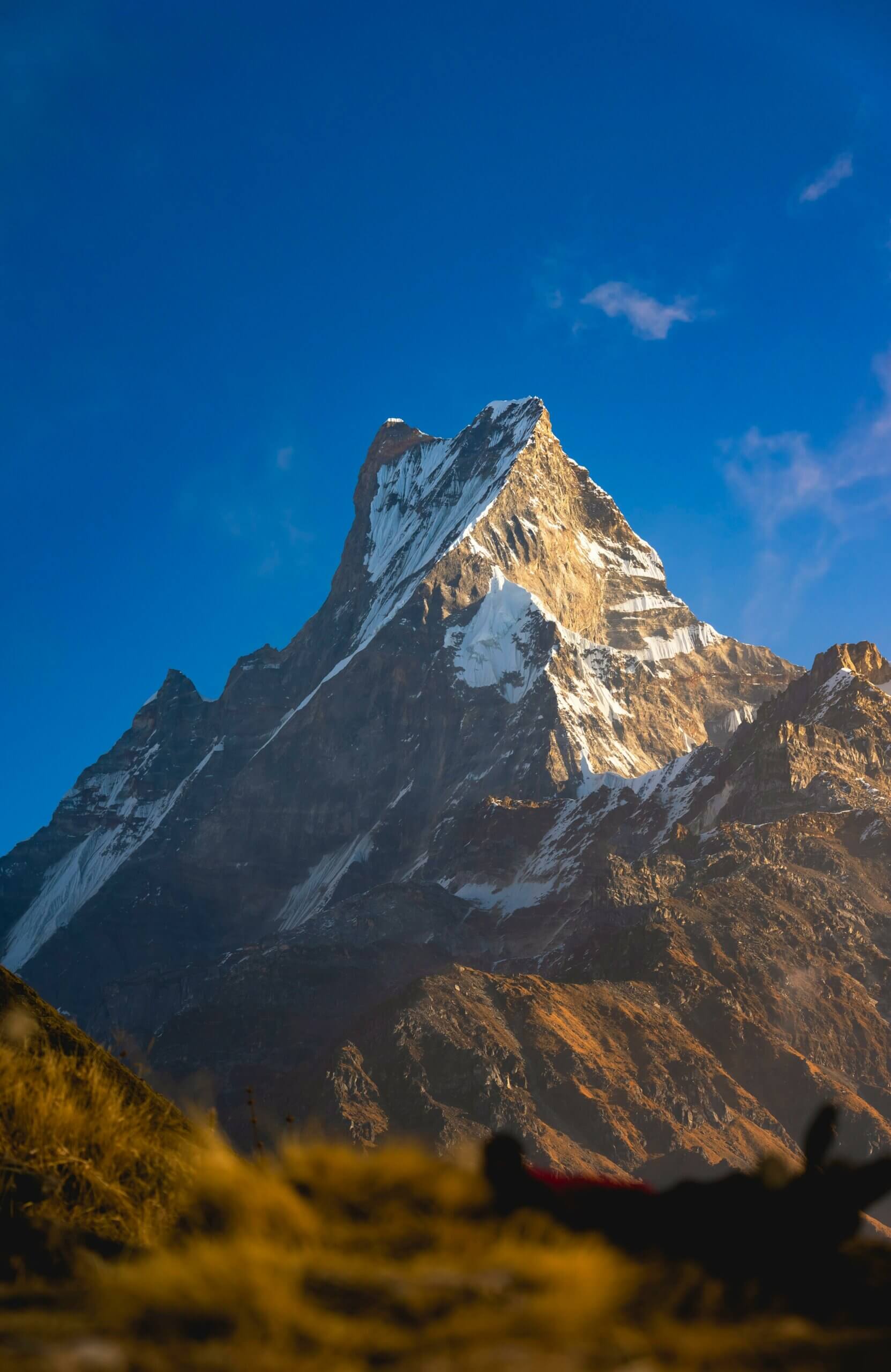 Mardi Himal Trek