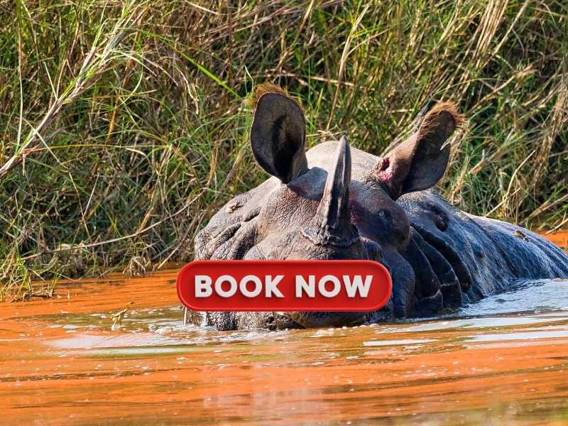 Bardia National Park In September