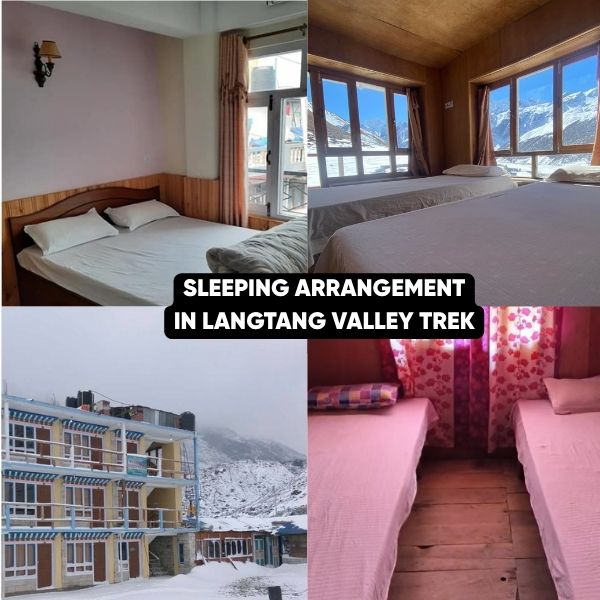 Hotel and lodges in Langtang Valley Trek