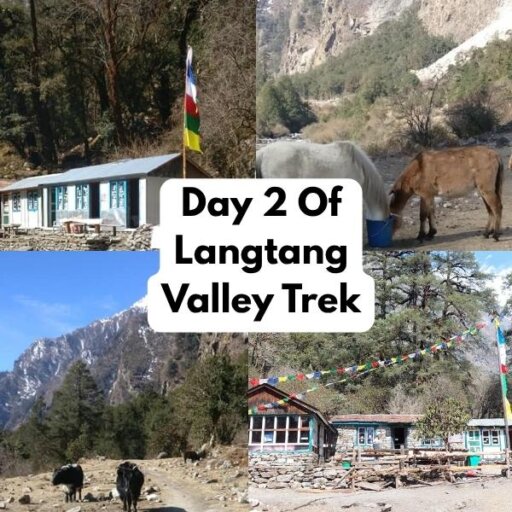 Langtang Valley Trek Day 2