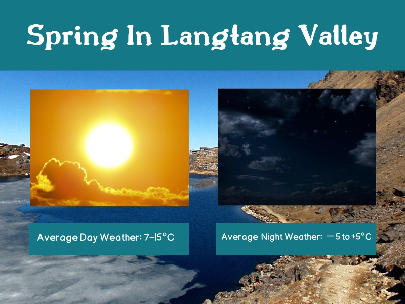 Average Weather During Spring In Langtang Valley