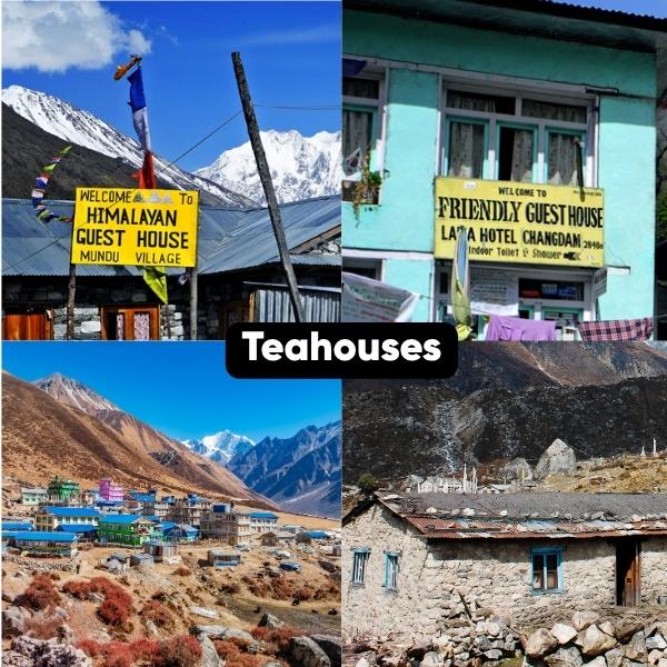 Teahouses in langtang valley trek
