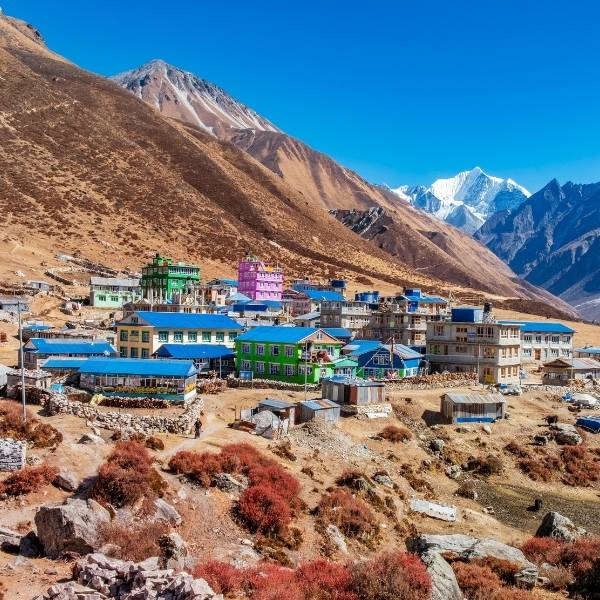 View From Langtang Village