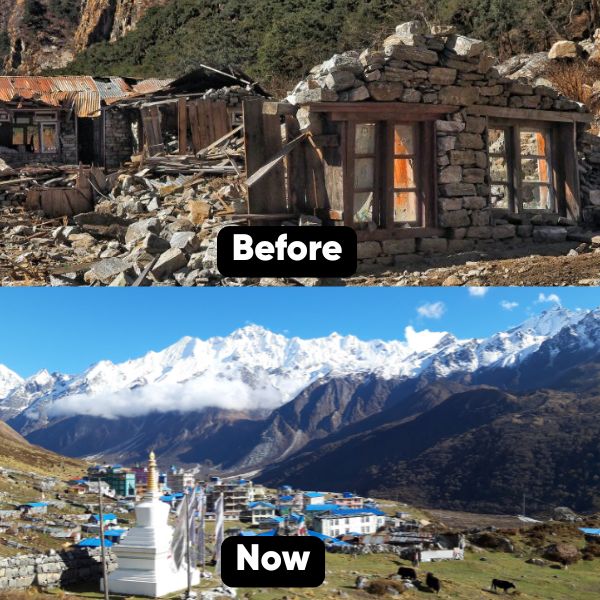 langtang village before and now condition