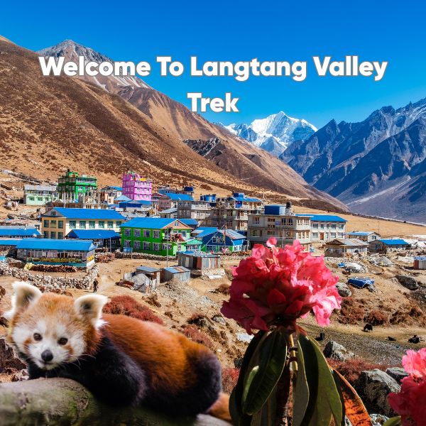 langtang village