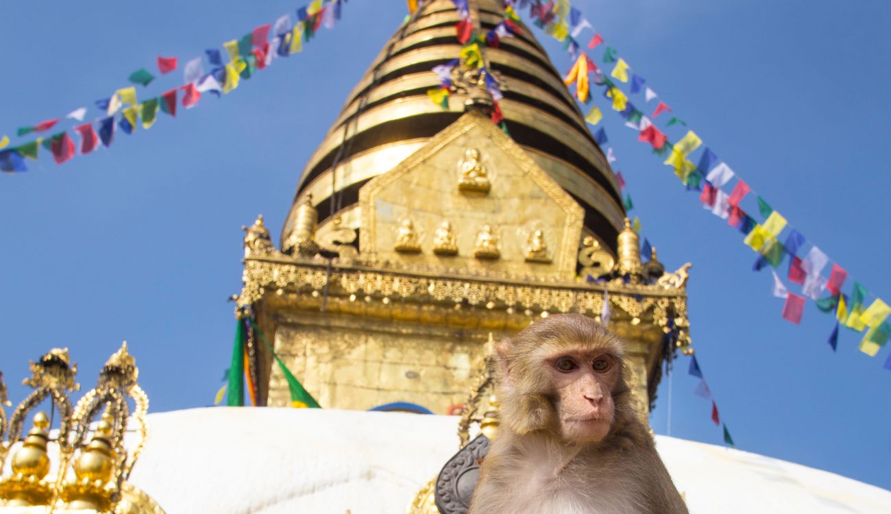 Swayambhunath Monkey Temple