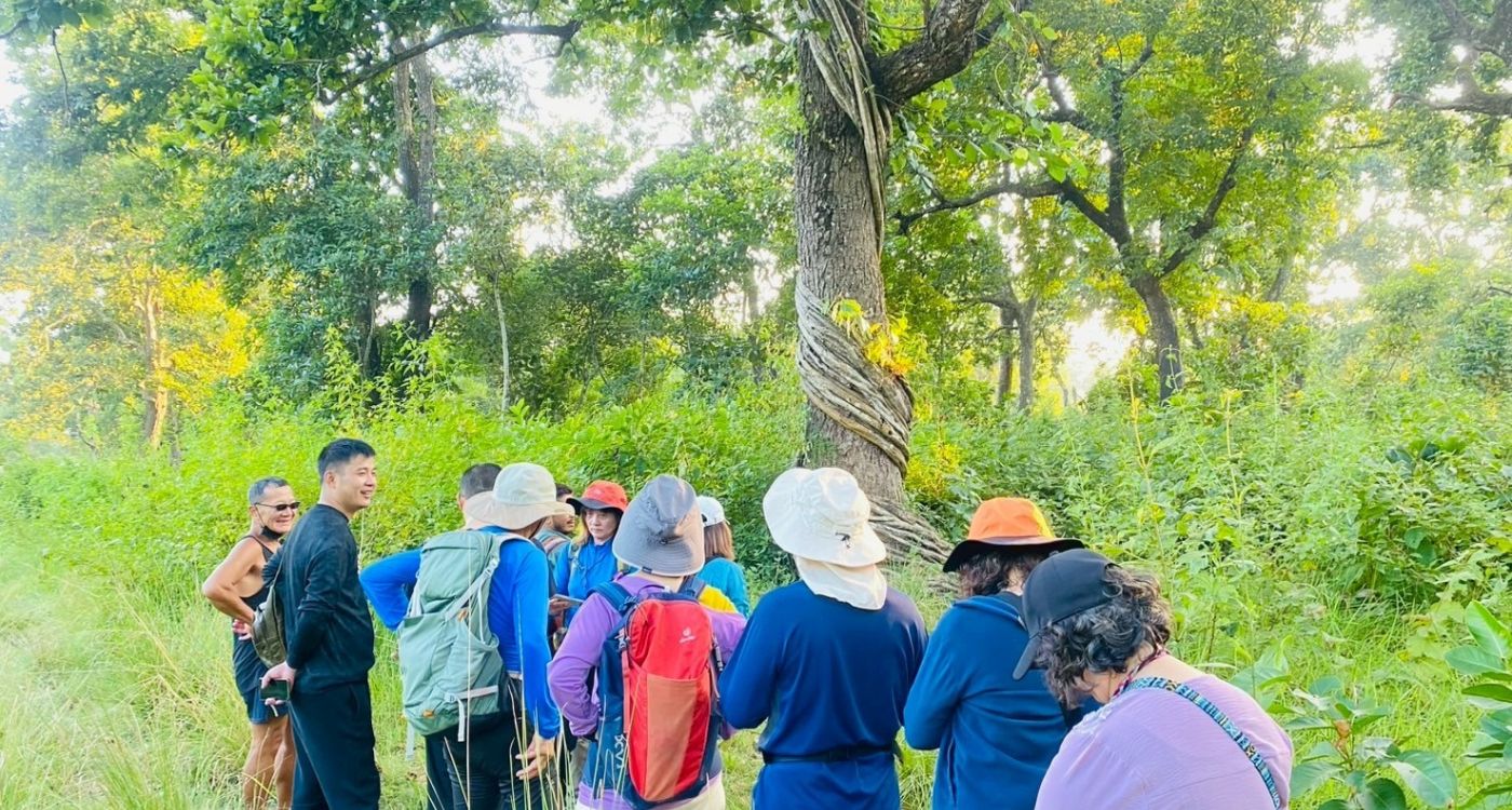 Jungle Walk in Chitwan National Park