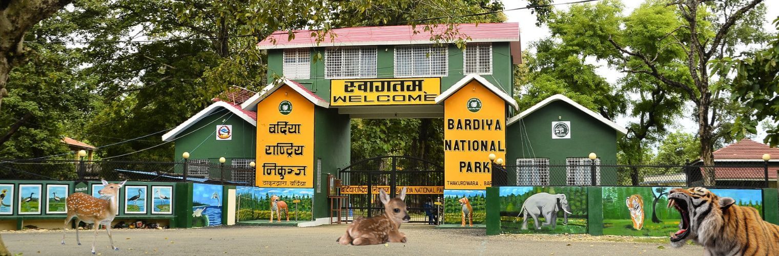Bardiya National Park Tour | 4 Days Journey To Find Tigers In Nepal