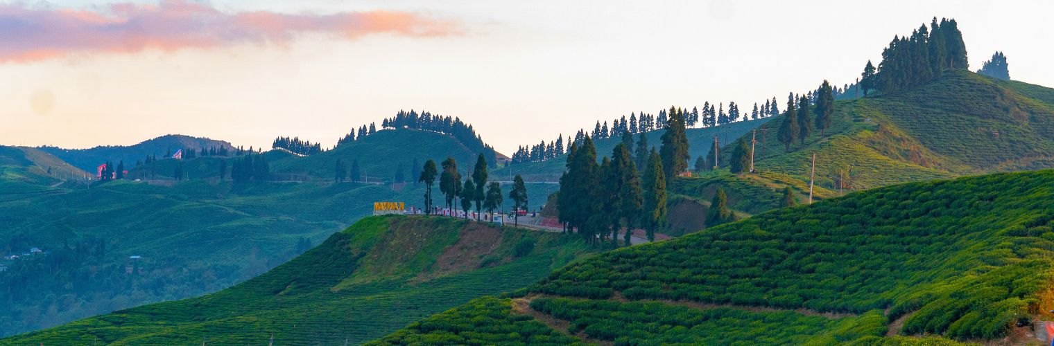 Ilam Tour 2026 | 4 Days Tea Garden Tour from Kathmandu