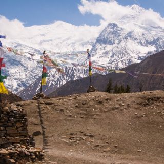 Dingboche Trail