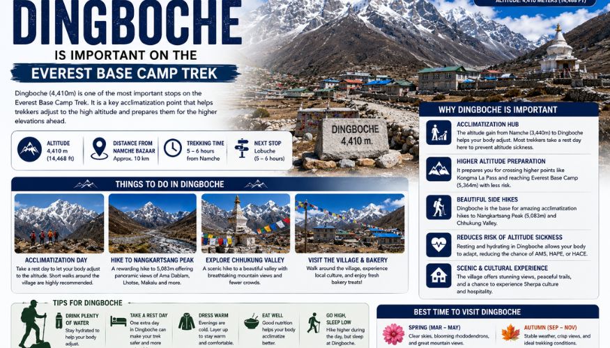Important Of Dingboche on Everest Base Camp Trek